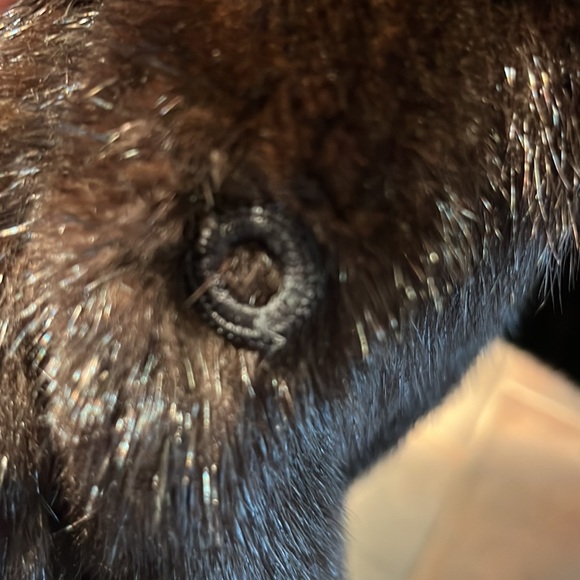 Mink coat full length long sleeve furs by Blum Brooklyn - Picture 6 of 11